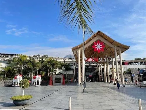 Tenerifeopenhome Corner Relax, Wifi, Breakfast, Cristisnos Daire Arona (Tenerife)